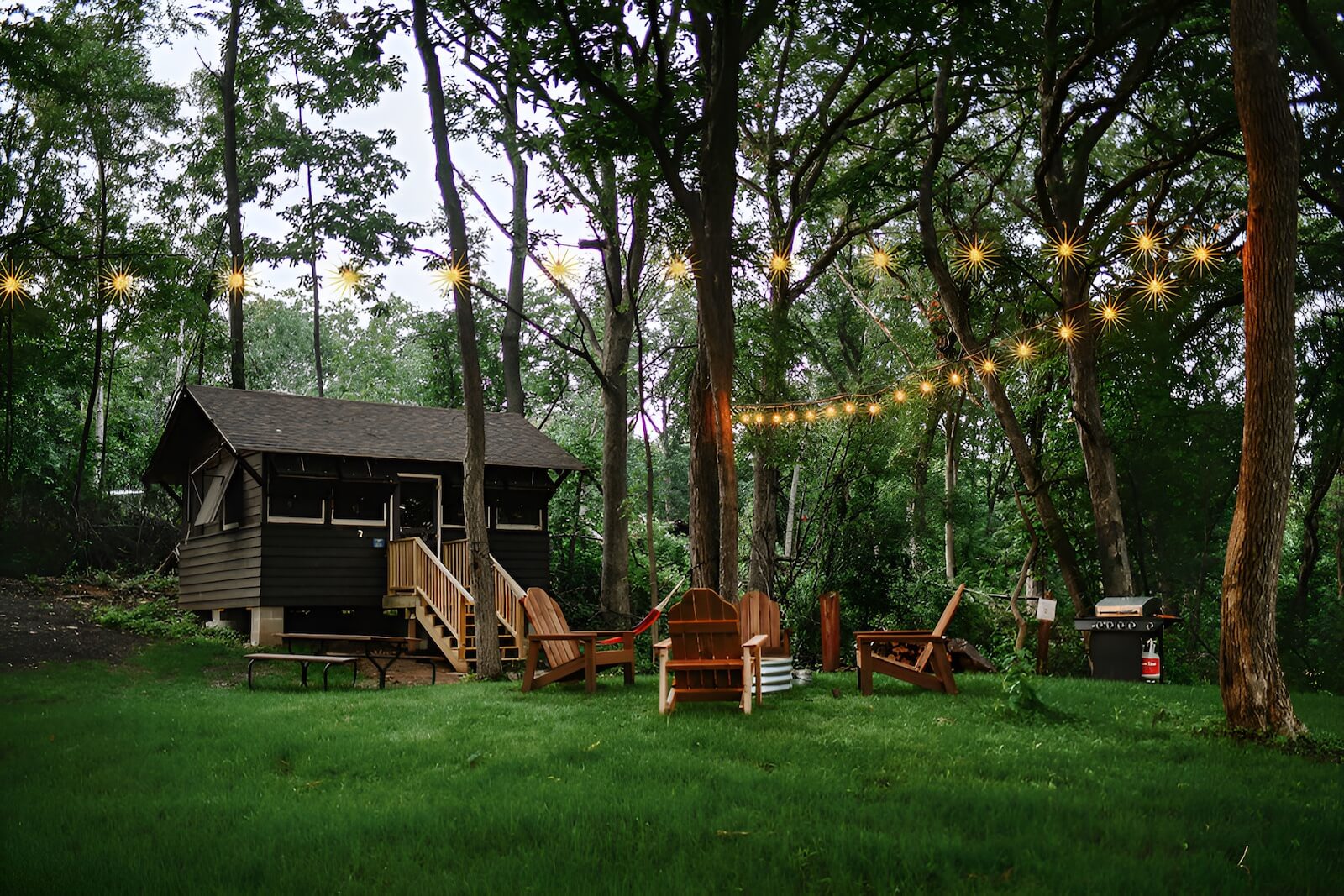 Briar Patch Image