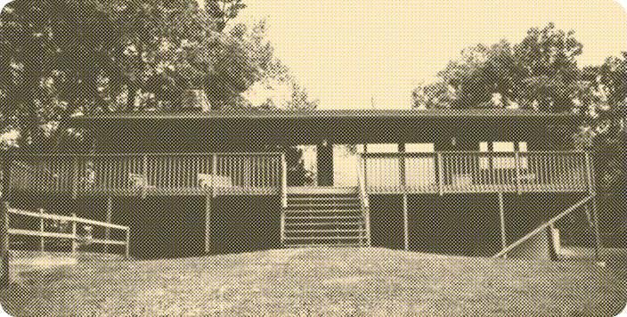 The<br> Lodge Image