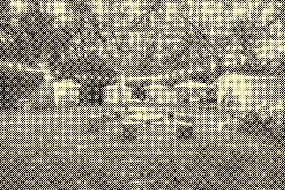 Scout<br> Platform Tents Image