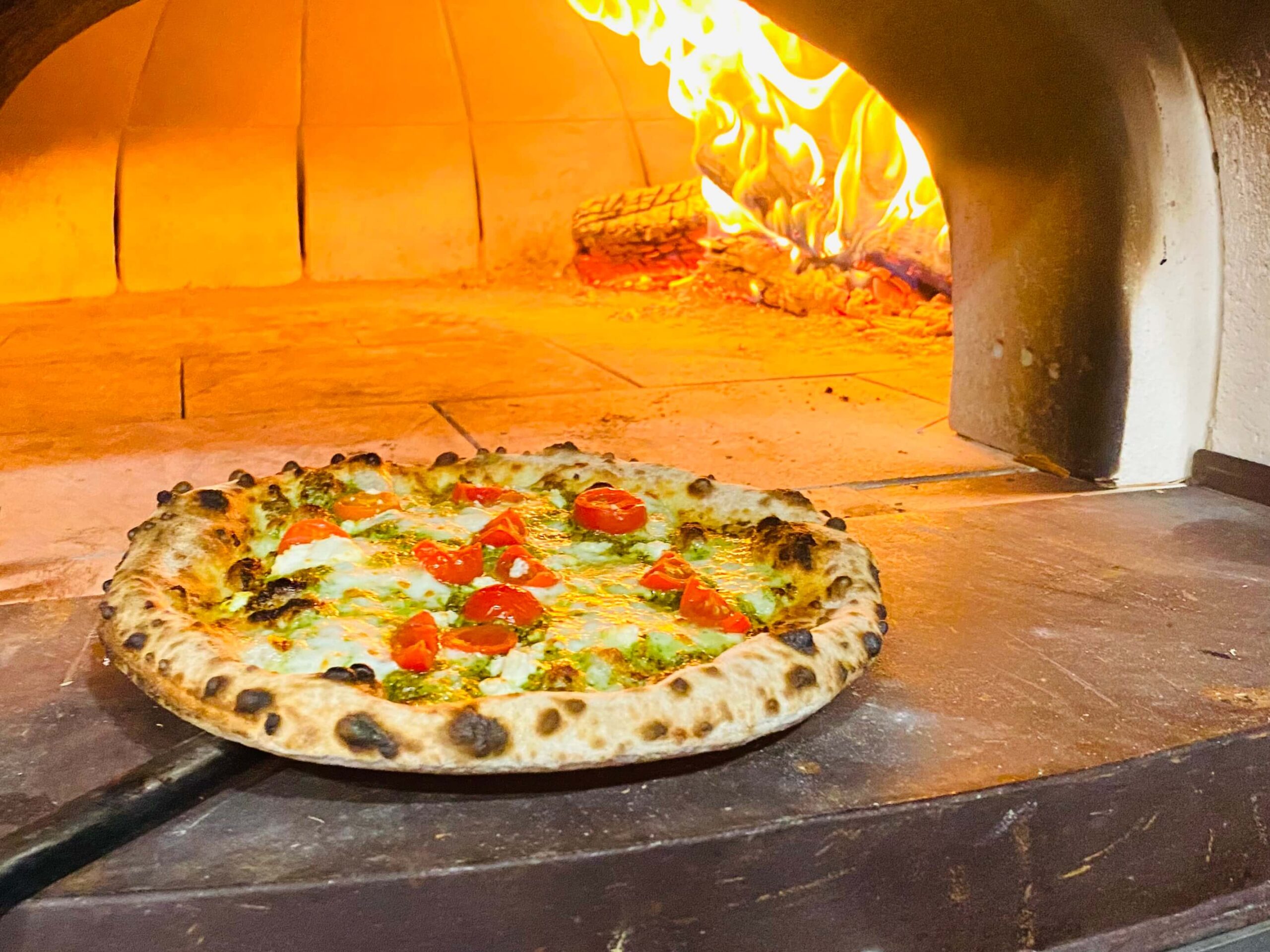 Sauced Pizza Image